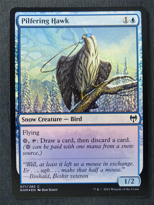 Pilfering Hawk Foil - Mtg Magic Cards #WY