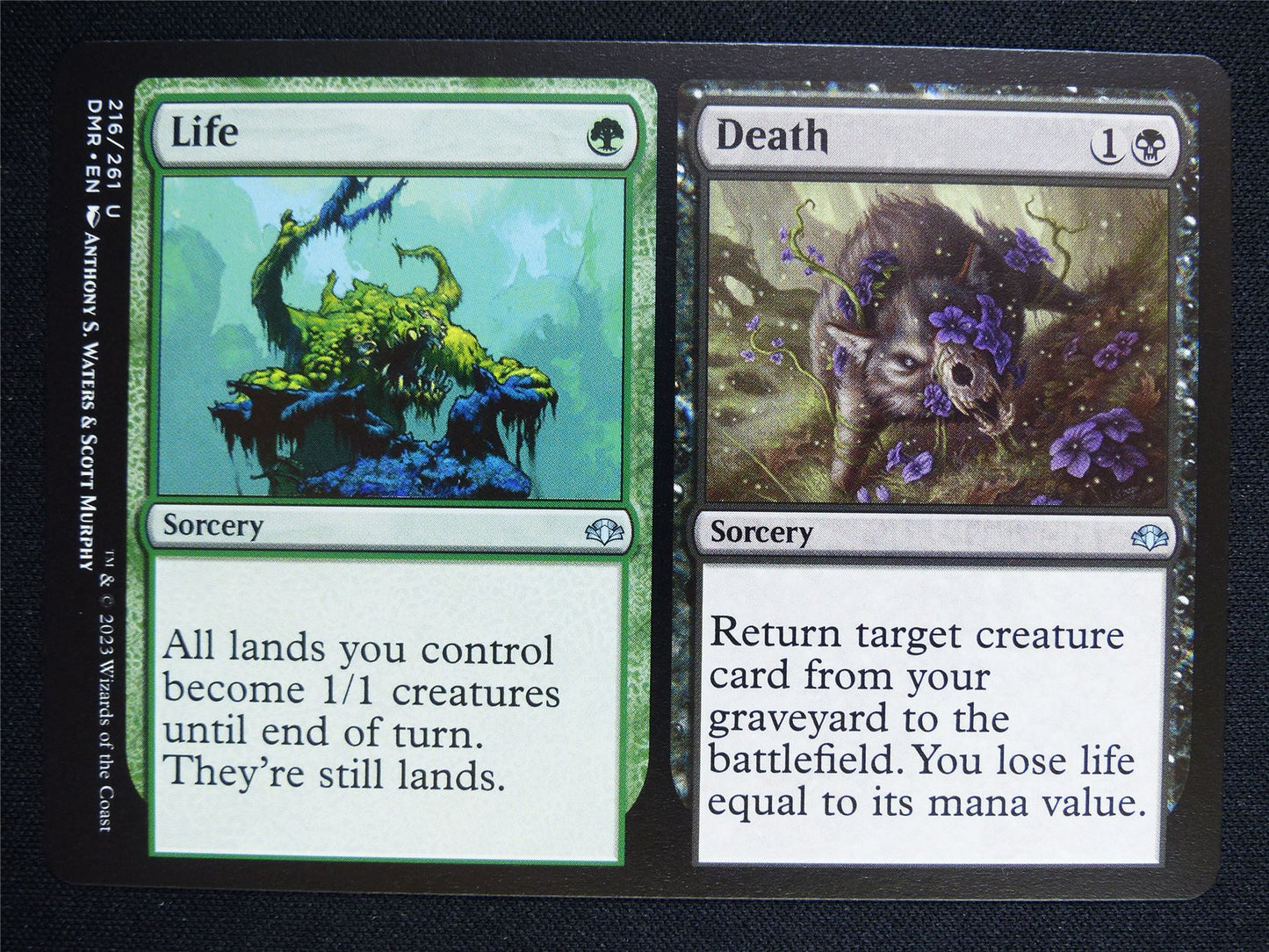 Life Death - Mtg Card #2AK