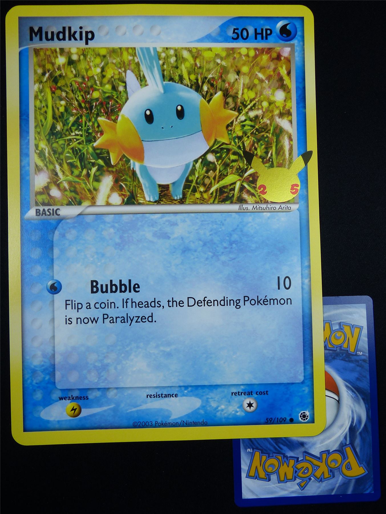 Mudkip 59/109 - Jumbo Pokemon Card #DC