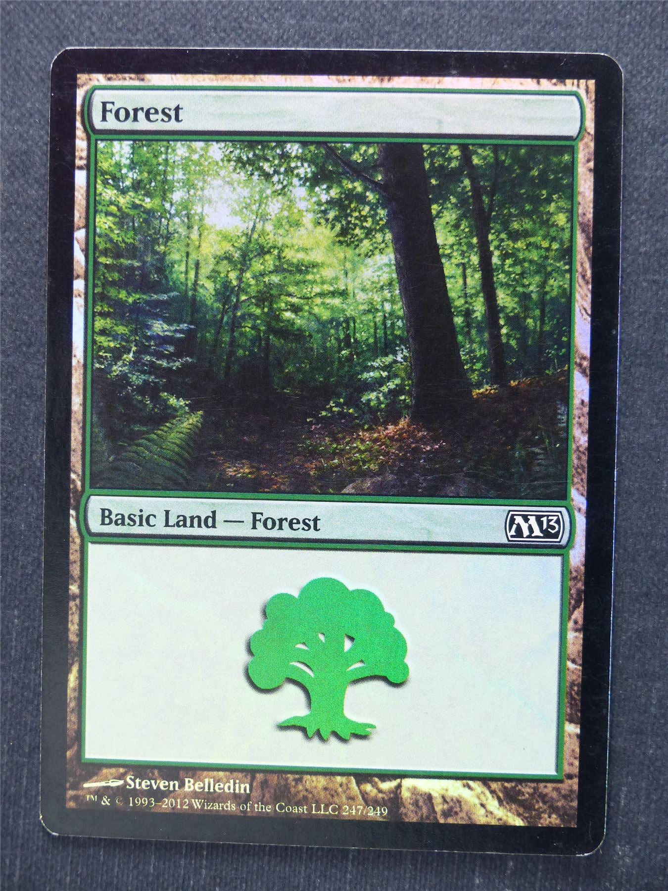 Forest 217/249 Foil - Mtg Magic Cards #SY