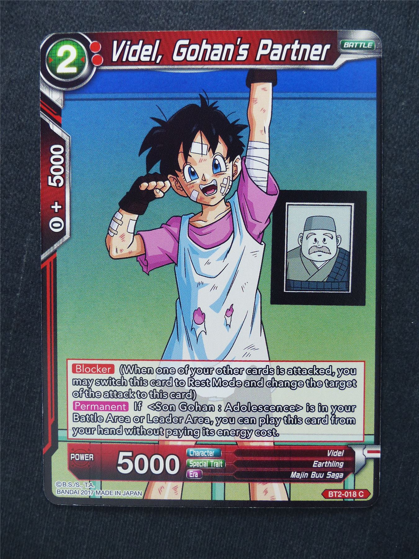 Videl Gohan's Partner - Dragon Ball Super Cards #FE