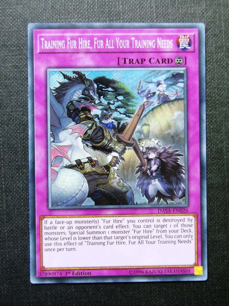 Training Fur Hire Fur All Your Training Needs DASA Secret Rare - 1st ed - Yugioh Cards #1NL