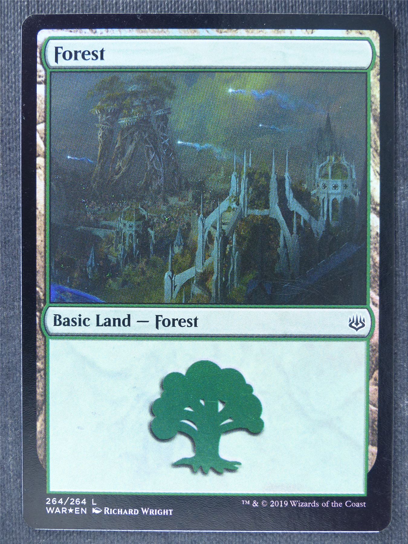 Forest 264/264 Foil - Mtg Magic Cards #RB