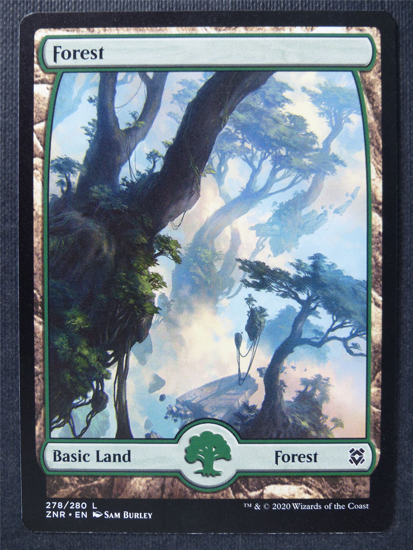 Forest 278/280 Full Art - Mtg Magic Cards #BV