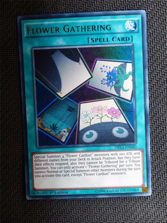 Flower Gathering - DRL3 - Ultra Rare - Yugioh Card # 1J59